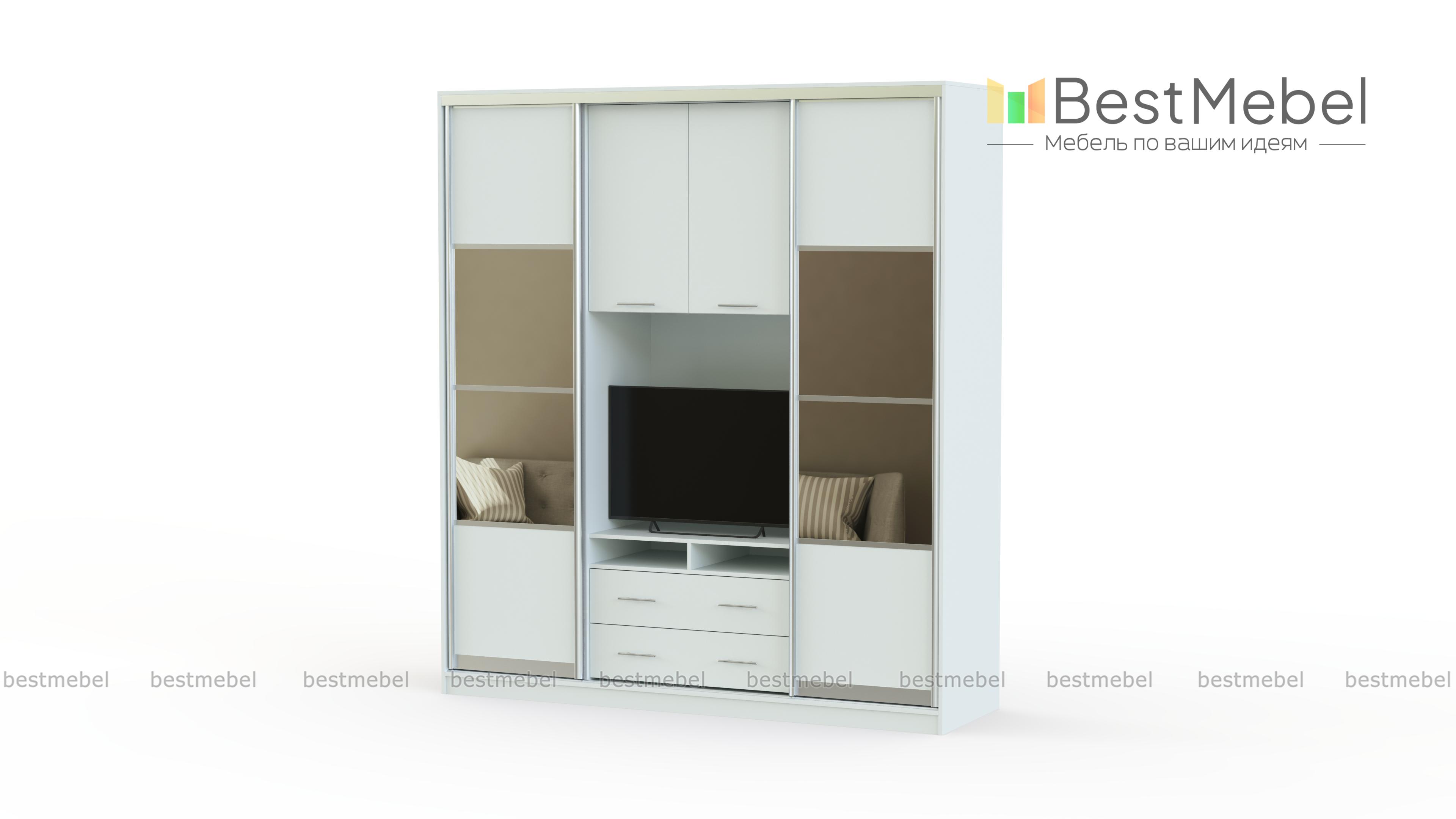 Шкаф-купе Скайм BMS - Фото