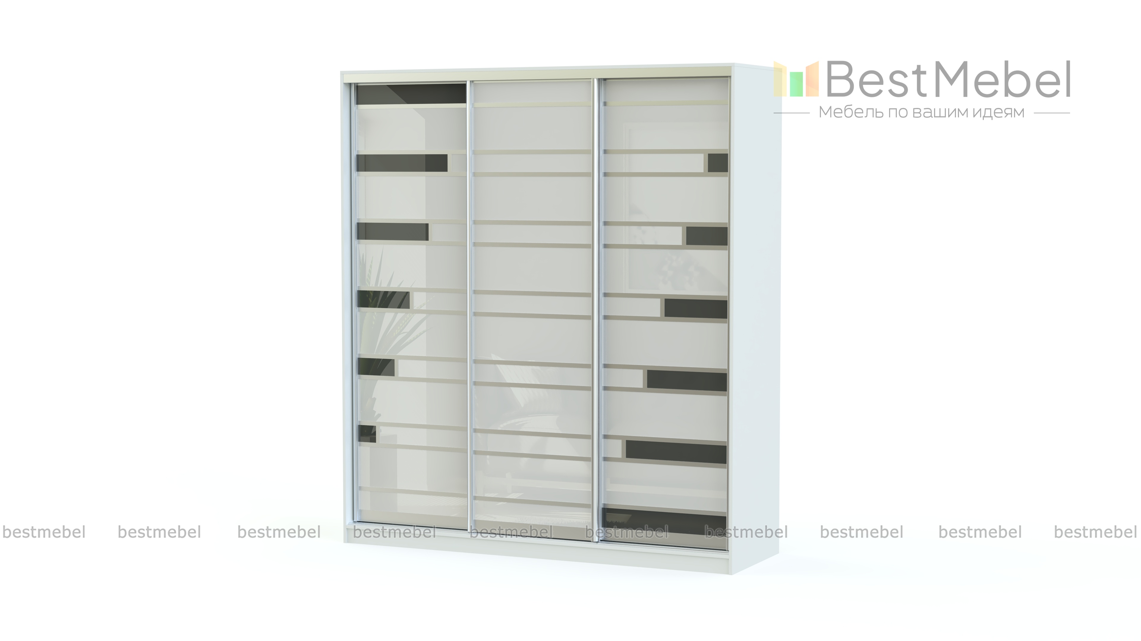 Шкаф-купе Роби BMS